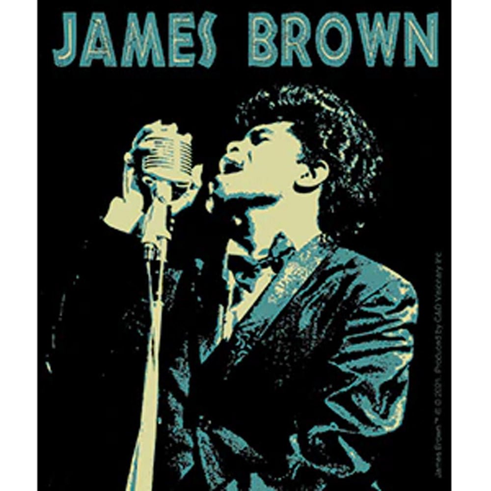 JAMES BROWN ジェームスブラウン - Singin' the Blues / ステッカー - PGS